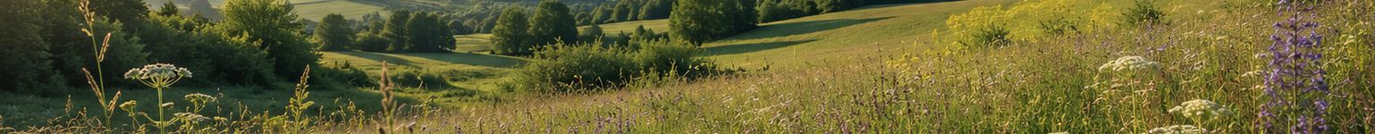 Applied Ecology